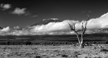 Kilimanjaro / Вид на гору Килиманджаро с Кенийской стороны