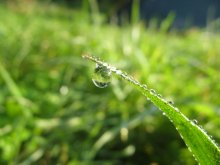 капійка / ведаю, што такіх кропель шмат, проста для мяне гэта спроба.