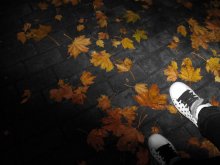 Осень листьями шуршала... / под ногами - листья, в сердце - твои письма..