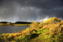 Осенняя пора / К сожалению, уже прошедшая, ведь сегодня уже снег выпал..