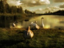 Попрощаться и улетать / -----------