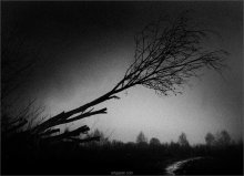 [ road in the woods ] / ...далеко иду