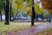 Осеннее настроение / парк, дождь