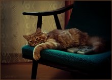 Из жизни одного мужчины / Ушла.