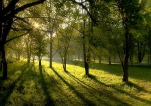 Весеннее утро / май2009