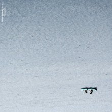 [Эфир. Вдвоем} / мыс Тарханкут, Крым