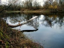 Лесное озеро / *88**
