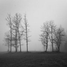 семейный портрет / осень туман