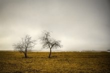 [ -Y-Y-- ] / Солигорск


press F11