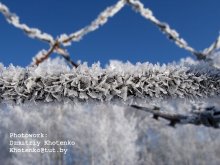 Кристалики льда / Морозный день