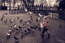вперёд,за голубями / дети тоже хотят летать