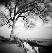 Одиночество / Kodak 120mm black and white, 320.
Где-то недалеко от Торонто