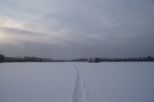 Дорога в никуда... / Пасмурное, грустное утро на одном озере