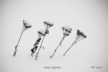 Keep together! / С наступающим 2010-м, фотографы! Не сдавайтесь, и у вас обязательно всё получится!