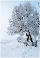 Зима / Зима в Пидгать
