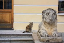 Напарники / Павловск
