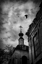 &nbsp; / вороны