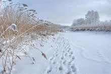 Рыбацкая тропа / ..........