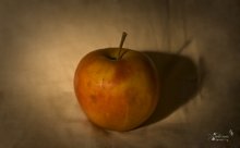 apple / Яблоко