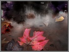 лист / без коментария