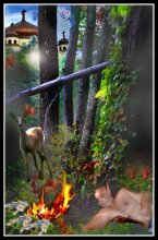 сон / без коментариев