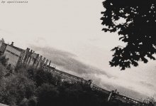 срезать в полёте / индустриалитет