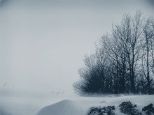 Зима / природа