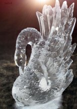 Ледяная лебедь / Выставка скульптур из льда, Гомель.