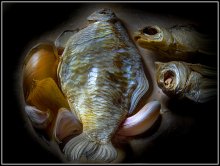 вобла 2 / кухня, окно, фотошоп
