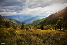 Солнечная долина / Алтайский край, снято во время экспедиции по региону