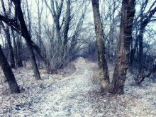 Тропою приснеженой / незимняя зима