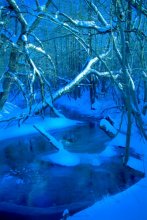 у ледяной речки / речка в Раубичах, день.