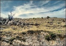 прагулкі па Лімонавых гарах ..2 / Limon Mountain, Arizona