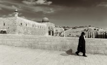 Домой / После посещения святых мест  в Иерусалиме  одухотворенный путник спешит домой к мирским делам