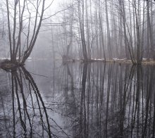 Большая вода / на маленькой речушке