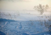 Последнее зимы напоминанье... / А на следующий день пришла весна