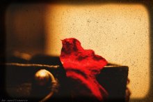 thing #15 / вещь - в - себе