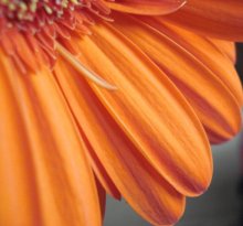 Траектории / без-комментариев