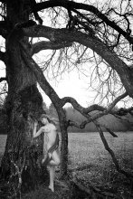 Лесная сказка / теплый весенний день на природе,старый  ветвистый одинокий дуб в поле
