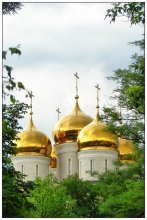 The gold domes / Никольский  Свято-Успенский Николо-Васильевский монастырь в Донецкой области