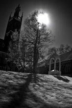 IR Wörlitzer Park #6 / 6.2.2010, Wörlitzer Park, Wörlitz, Landkreis Wittenberg, Sachsen-Anhalt, Germany...