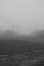Туманное утро / туман