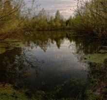 утренняя тишина / Нижегородская область, Борский район