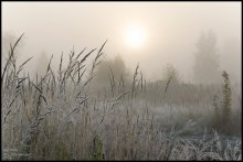 Утро морозное. / Утро.Мороз.