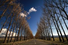 смирна / road in georgian village