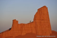 Arca desertorum / shot in Dasht-e Lut desert, Iran