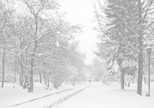 ... Дорога ... / ***