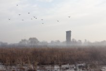 Мневники / конец марта