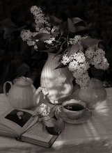 &nbsp; / Белая сирень,тёплый солнечный вечер,ароматный чай и добрая старая книга.