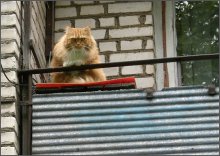 "Стой, кто идёт!?" / "Стой, кто идёт!? Предъявите паспорт..."
:)